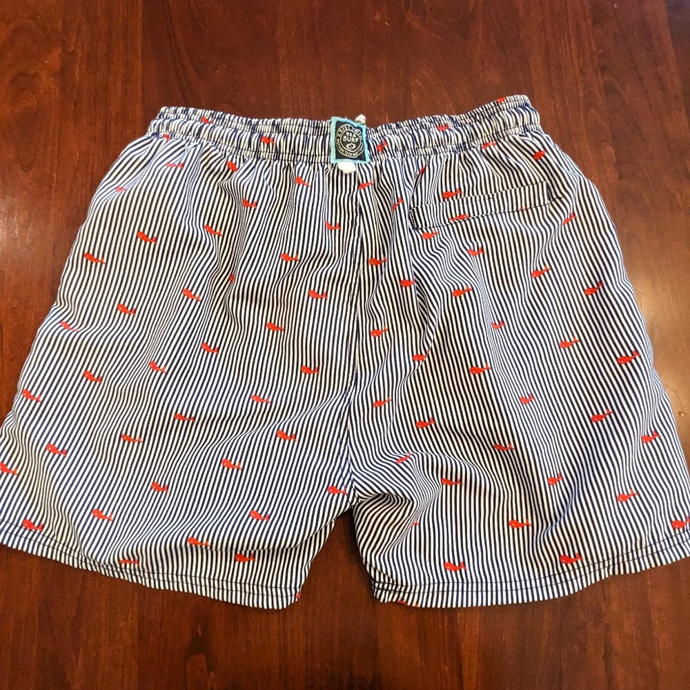 Exist Swim men's swim trunks beach shorts. Size medium